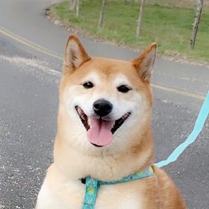 Meet your Posher, Kevin